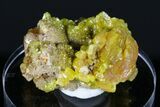 Yellow-Orange Pyromorphite Crystals - Bunker Hill Mine, Idaho #175886-2